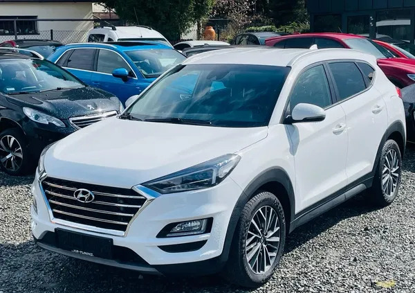 samochody osobowe Hyundai Tucson cena 99900 przebieg: 39200, rok produkcji 2019 z Pogorzela
